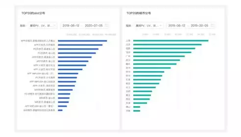 能进行数据可视化的工具有哪些，可以进行数据可视化的三个主要方向，数据可视化三大领域与工具解析，助力洞察与分析