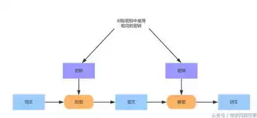 加密技术的代表算法有哪些，加密技术的代表算法，探秘加密技术，揭秘十大代表性算法及其应用