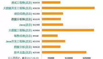 数据挖掘工程师做什么的，数据挖掘工程师做什么，数据挖掘工程师，揭秘大数据时代的幕后英雄