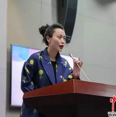 保密安全审计员职责是什么，保密安全审计员职责，保密安全审计员职责解析与职业素养探讨