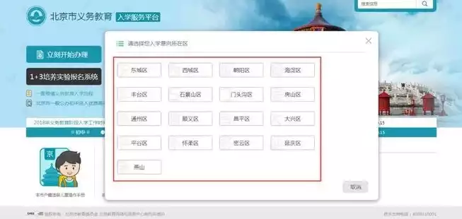 揭秘，五大SEO成功案例，助力企业提升网站排名与流量，seo成功的案例和分析