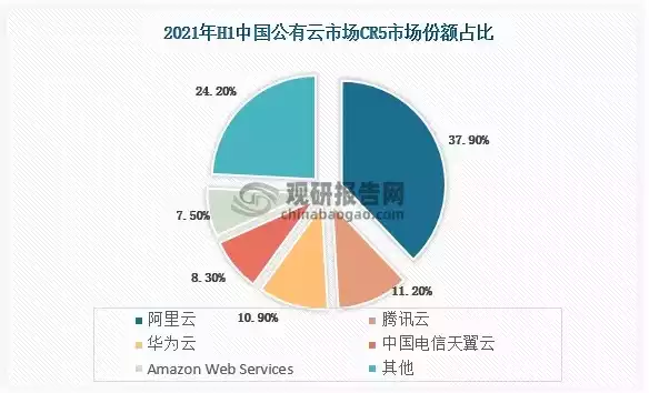 中国混合云市场份额，中国混合云排名，中国混合云市场格局揭秘，市场份额风云变幻，行业领军者崭露头角