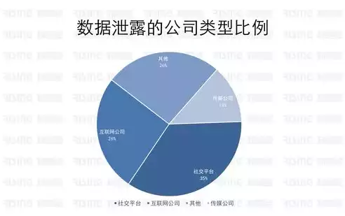 脱离大数据泄露隐私的案例有哪些，脱离大数据泄露隐私的案例，揭秘，这些案例教你如何远离大数据泄露隐私的困扰