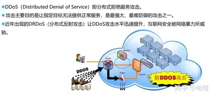 ddos压力测试网站，ddos压力测试网页端，深度解析DDoS压力测试，构建网络安全防线的关键手段