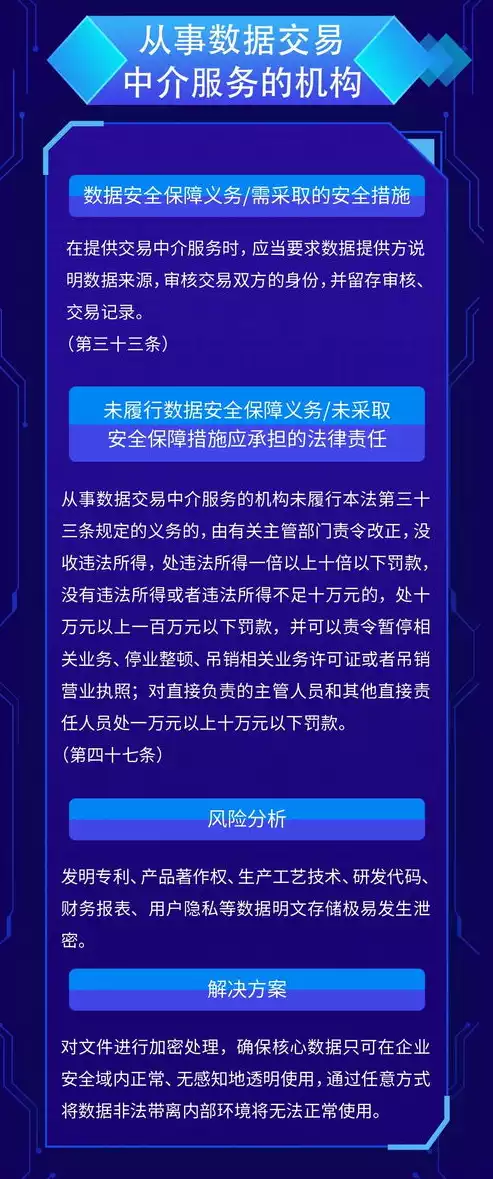 数据安全法要点，数据安全法全文解读关键词有哪些形式，数据安全法关键词解读，全面保障国家数据安全新篇章