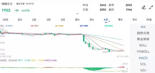 软件服务类股票是哪些类型呢，软件服务类股票是哪些类型呢，软件服务类股票全景解析，细分领域投资指南