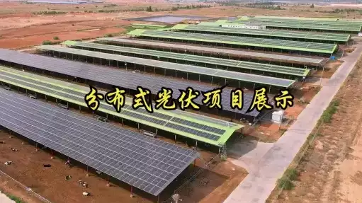 万宁林场，万宁林兰养殖有限公司 3413.3kwp 分布式光伏发电项目，万宁林兰养殖有限公司3413.3kwp分布式光伏发电项目，绿色能源助力生态养殖，打造可持续发展新模式