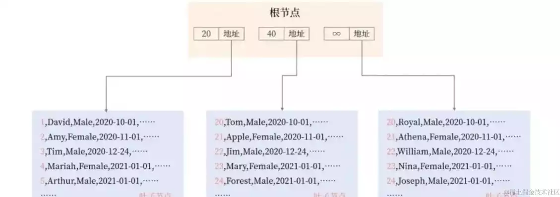 数据库里建索引常用的数据结构是什么，数据库里建索引常用的数据结构是，深入解析数据库索引，常用数据结构及其原理与应用