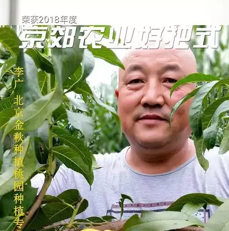 数据恢复技术深度揭秘第二版 下载，深度解析数据恢复技术深度揭秘第二版，揭秘数据恢复领域的黑科技与未来趋势