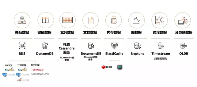 数据库的种类有，数据库种类以及应用，数据库的多样性及其在各领域的应用解析