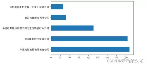 数据可视化示例怎么做，数据可视化示例，数据可视化在现代数据分析中的应用与示例解析