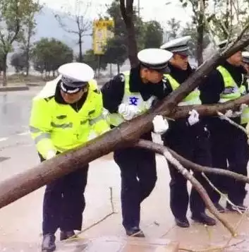 数据安全隐患有哪些简短概括内容，数据安全隐患有哪些简短概括，数据安全隐患的多维度分析及防范策略