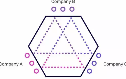 大数据安全与隐私保护学些什么专业，大数据安全与隐私保护学些什么，深入解析，大数据安全与隐私保护专业课程内容与技能培养