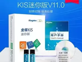 金蝶安全锁怎么用，金蝶kis迷你版安全锁驱动下载，金蝶KIS迷你版安全锁驱动下载及使用指南