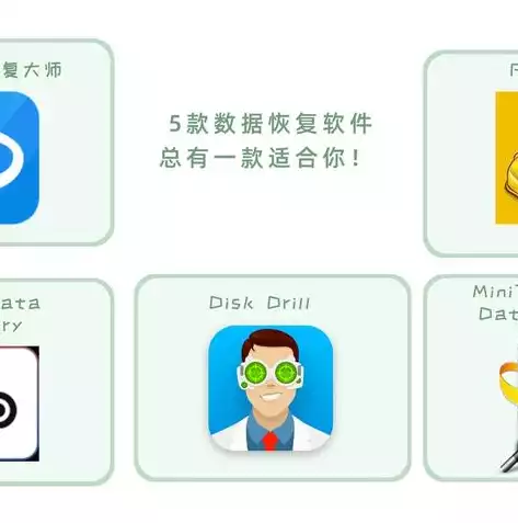 数据恢复软件使用教程下载，数据恢复软件使用教程下载，高效数据恢复指南数据恢复软件使用教程下载，助你轻松恢复丢失数据