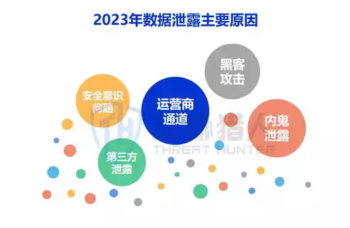 数据安全泄露案例2023，数据安全泄露案例，2023年度数据安全泄露案例分析，揭示网络安全的严峻挑战