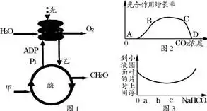 按容器的形状分是哪种，按容器在生产工艺过程中的作用原理可分为哪些，生产工艺过程中容器的作用原理及分类探讨——以形状为依据的分类研究