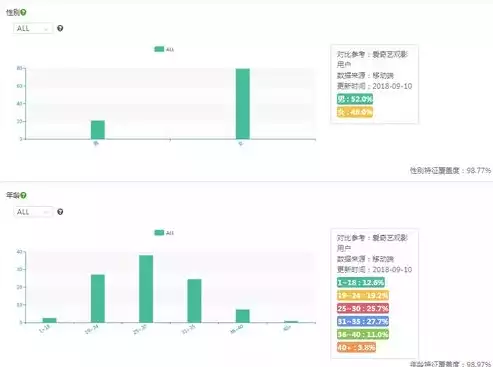 数据治理师做什么的工作，数据治理师做什么的，揭秘数据治理师，数据时代的守护者与革新者