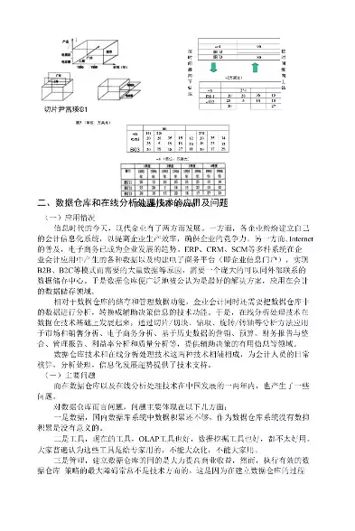 数据仓库与数据挖掘论文总结报告，数据仓库与数据挖掘论文总结，数据仓库与数据挖掘在企业管理中的应用与挑战探讨