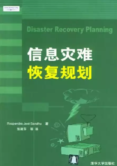 灾难恢复的具体步骤，灾难恢复可以保证100%恢复吗，灾难恢复，全面解析其过程与恢复率保障