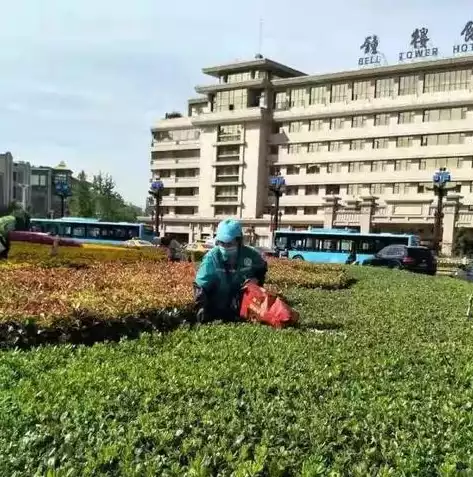 公共基础设施管护存在问题及建议怎么写，公共基础设施管护存在问题及建议，公共基础设施管护问题与优化策略探讨