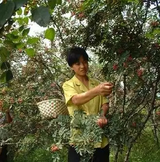 甘肃智慧云平台管理系统官网，甘肃智慧云平台管理系统，甘肃智慧云平台管理系统，引领智能化管理新潮流，打造高效政务服务平台