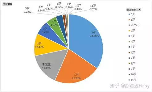 数据可视化学什么的，数据可视化学什么，深入解析数据可视化学，探索数据之美与洞察之道