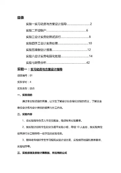 大数据财务分析实训总结，财务大数据分析实训日志，财务大数据分析实训心得，数据洞察与决策智慧的提升