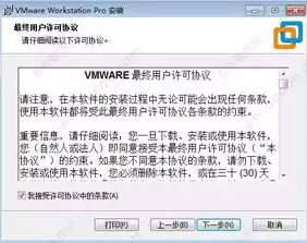 vmware 授权，VMware虚拟化软件授权全解析，了解、选择与优化