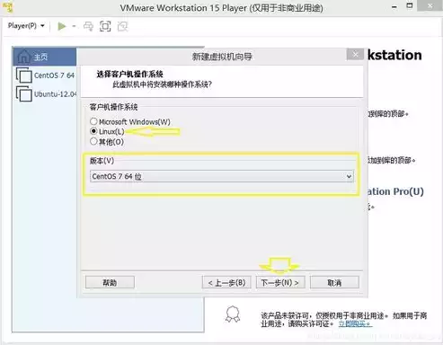 vmware 授权，VMware虚拟化软件授权全解析，了解、选择与优化