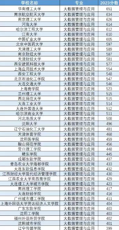 大数据管理及应用专业大学排名，大数据管理及应用专业全国高校排名解析，探寻行业翘楚，引领未来人才潮流