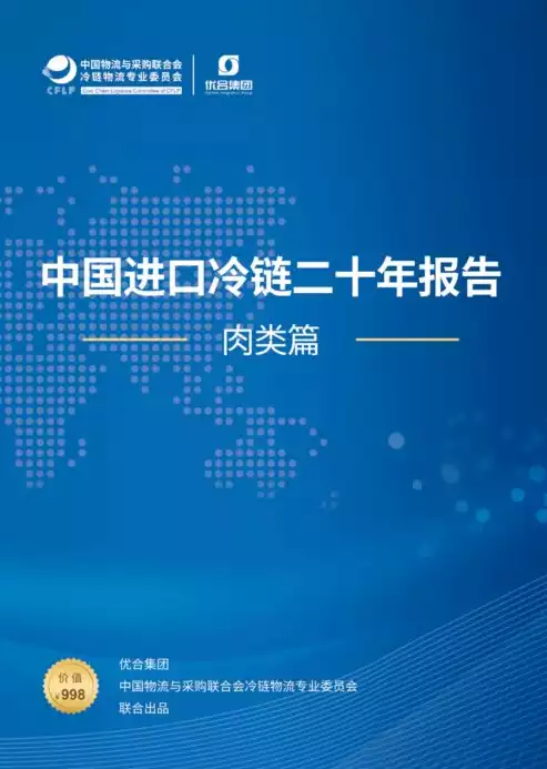 对海量数据进行采集、存储，大数据时代的挑战与机遇，海量数据采集与存储策略解析