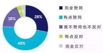 大数据下的隐私保护有哪些内容，大数据时代下的隐私保护策略与挑战