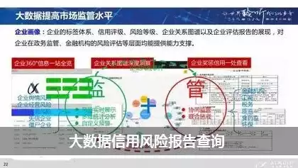 大数据信用风险报告查询图片下载，揭秘大数据信用风险报告，全面解读信用风险查询与下载流程