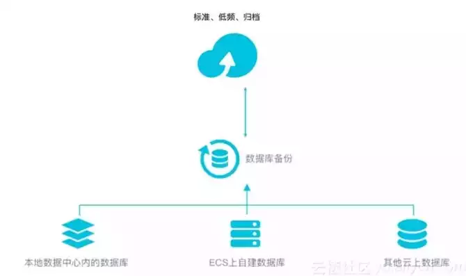 数据备份的数据包括什么类型，全面解析数据备份类型，守护数据安全的利器