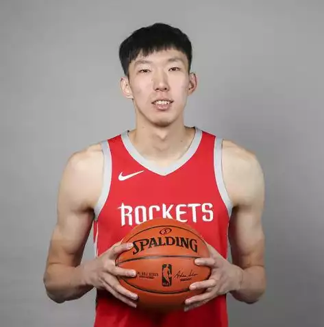 nba数据查询官方网站，深度解析NBA数据查询APP，便捷篮球迷的智慧之选