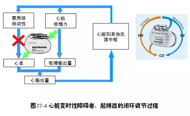 负载均衡心跳检查的原理是什么，深入解析负载均衡心跳检查原理，保障系统稳定运行的关键机制