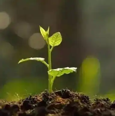 资源利用率是性能指标吗，资源利用率，解析其在性能指标中的重要性与作用