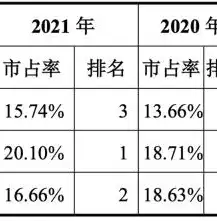 存储半导体龙头上市公司，存储半导体行业领军企业，揭秘行业龙头股及其市场表现