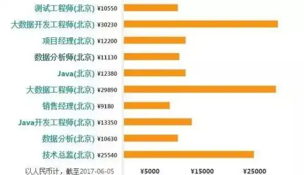 医疗大数据软件开发工资高吗，揭秘医疗大数据软件开发领域，薪资水平揭秘及职业发展前景分析