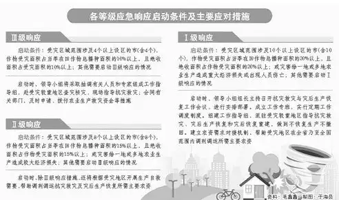 灾难恢复计划和应急预案的区别和联系，灾难恢复计划与应急预案，内涵差异与协同作用探讨