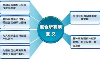 混合制企业是国企还是私企，混合制企业，国企与私企的融合与挑战