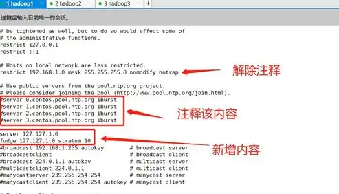 hadoop分布式集群搭建完整教程，Hadoop完全分布式集群搭建全攻略，从入门到精通