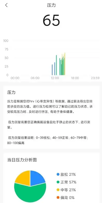 压力测试 报告，深度解析压力测试报告，关键指标解读与应用