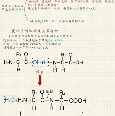 高中生物水平学业水平考试，高中生物学业水平考试重点知识点梳理与解读