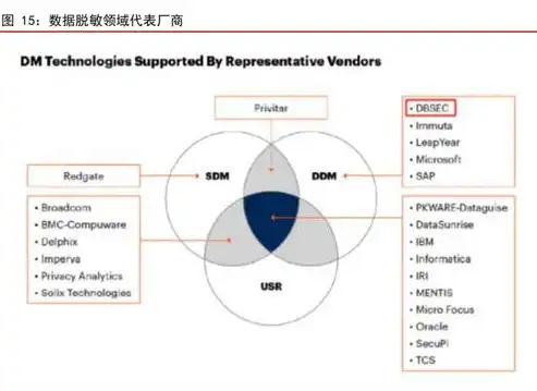 在大数据隐私保护生命周期模型中,大数据发布的风险是，大数据隐私保护生命周期模型中大数据发布风险的剖析与应对策略