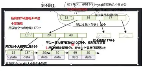 数据库的数据结构有哪几种，深入解析数据库中的数据结构类型及其应用