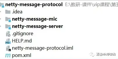 软件定义网络使用协议有哪些，软件定义网络，解析其核心协议与应用场景