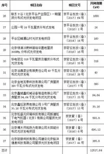 分布式光伏发电项目可行性研究报告，分布式光伏发电项目可行性研究报告，项目评估与实施策略研究