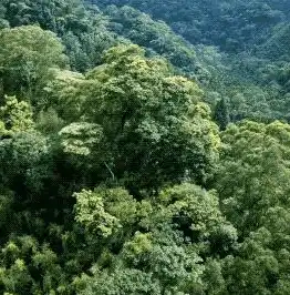 揭秘数据蛙恢复专家，服务免费，专业高效，值得信赖！